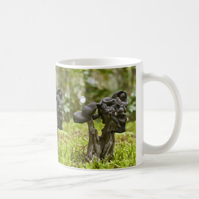 Mystiska svampar kaffemugg (Höger)