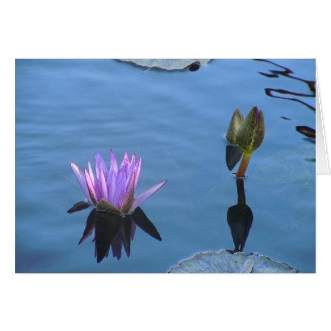 Mystiskt bevattnar hälsningskort (Framsidan Horizontal)