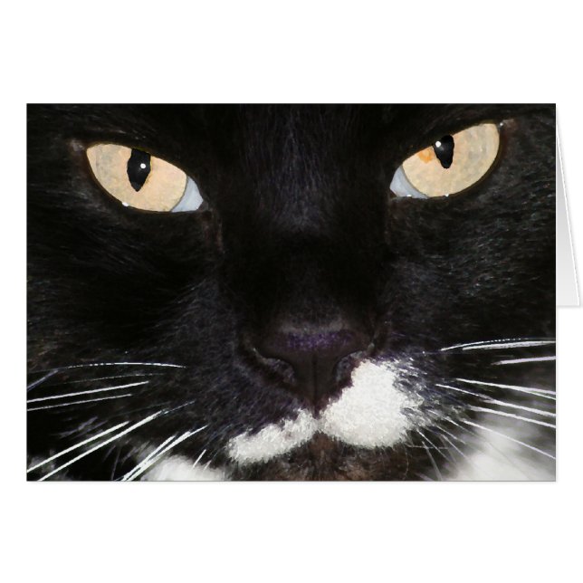 Mystiskt Hälsningskort (Framsidan Horizontal)