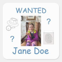 Mystoppbrottsnämnd för att lösa vittnesmål fyrkantigt klistermärke