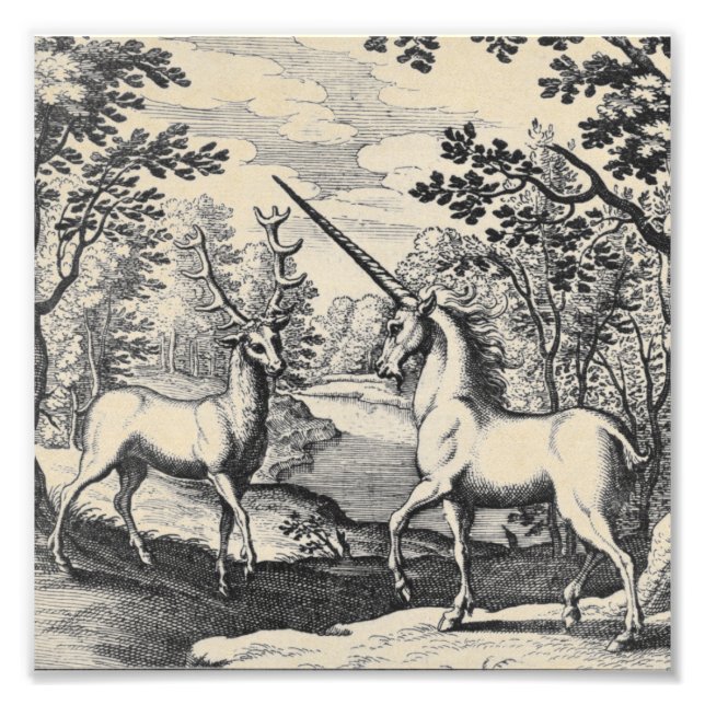 Mythical Unicorn in Forest Fototryck (Framsidan)