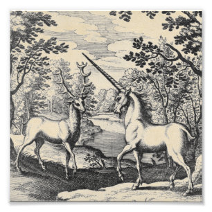 Mytisk Unicorn i skogen Fototryck