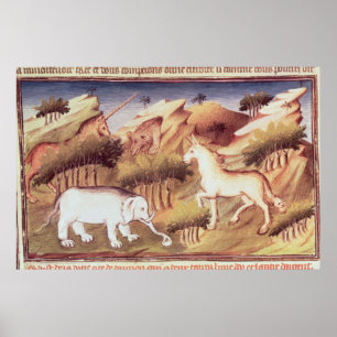 Mytiska djur i vildmarken poster