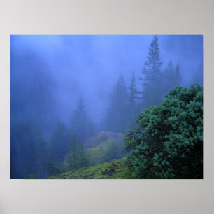 MyTräd Poster