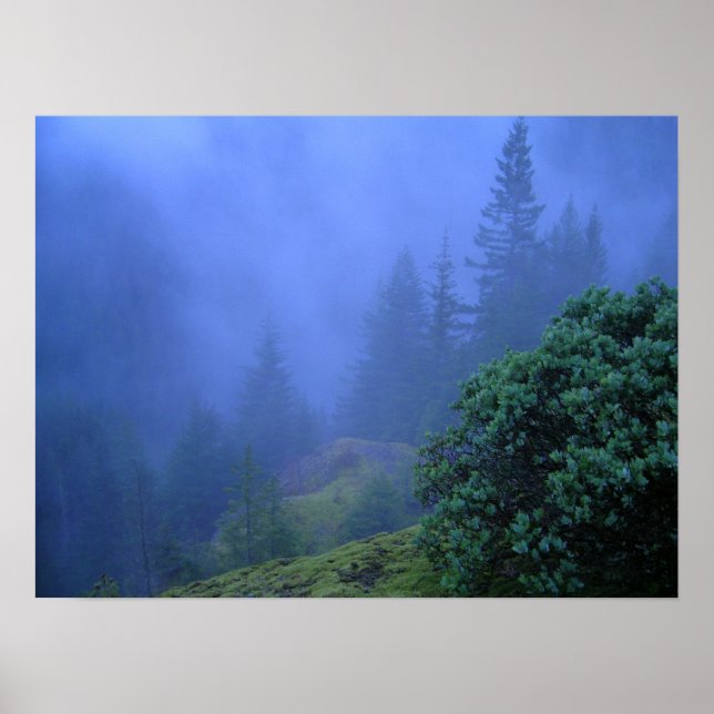 MyTräd Poster (Framsidan)