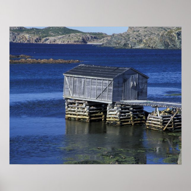 N.A., Kanada, Newfoundland, Durrell. Fiske Poster (Framsidan)