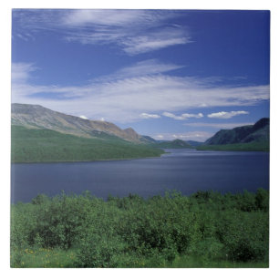 N.A., Kanada, Newfoundland, Grose Morne Forell Kakelplatta