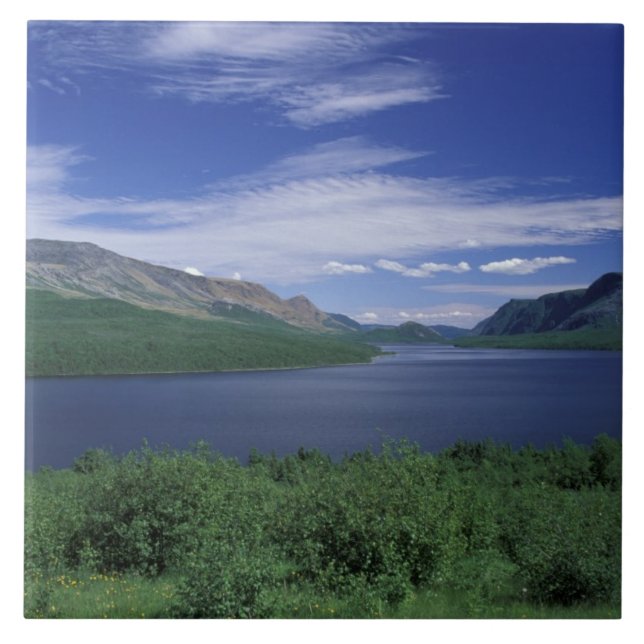 N.A., Kanada, Newfoundland, Grose Morne Forell Kakelplatta (Framsidan)