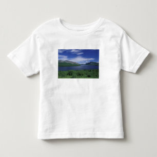 N.A., Kanada, Newfoundland, Grose Morne Forell Tee