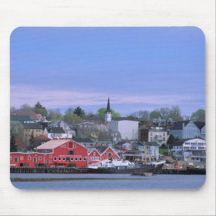 N.A. Kanada, Nova Scotia. En vy över Lunenburg, en Musmatta