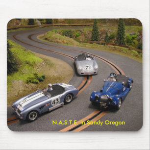 N.A.S.T.E. i sandiga Oregon Musmatta
