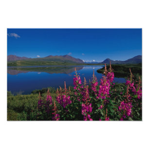 N.A., USA, Alaska, Alaska Range Common Fototryck