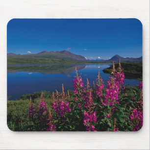 N.A., USA, Alaska, Alaska Range Common Musmatta