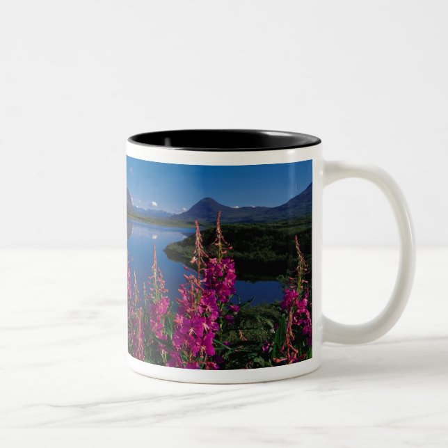 N.A., USA, Alaska, Alaska Range Common Två-Tonad Mugg (Höger)