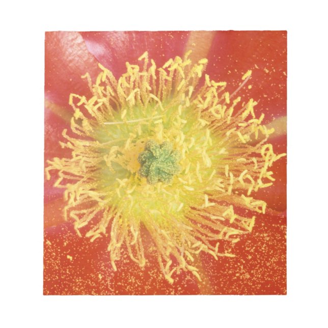 N.A., USA, Arizona, Casa Grande, NM, Desert Anteckningsblock (Framsida)