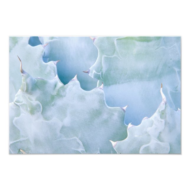 N.A., USA, Arizona, Tucson, Sonora Desert 2 Fototryck (Framsidan)