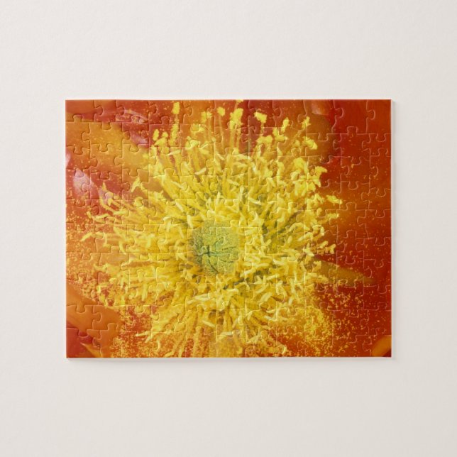 N.A., USA, Arizona, Tucson, Sonora Desert 3 Pussel (Horisontell)