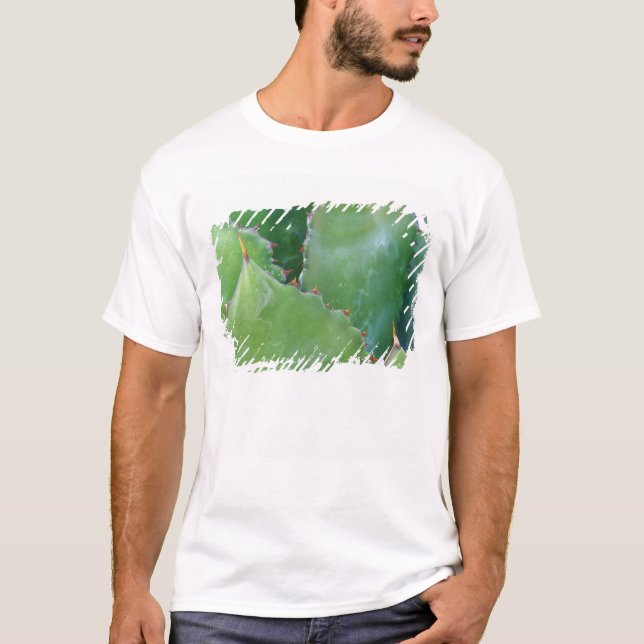 N.A., USA, Arizona, Tucson, Sonora Desert T-shirt (Framsida)
