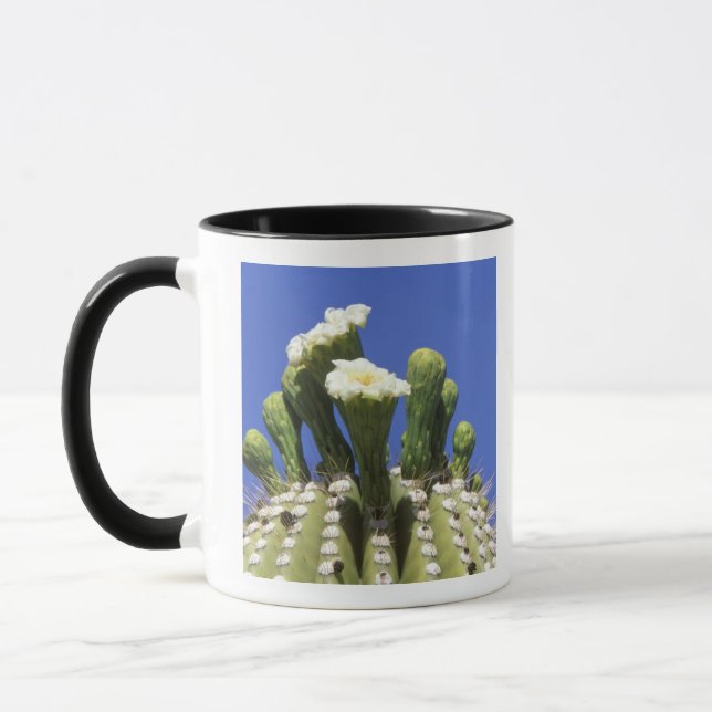 N.A., USA, Arizona, Tucson, Sonoraöknen 2 Mugg (Vänster)