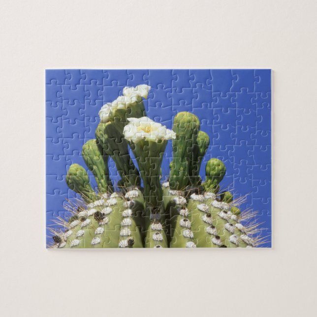 N.A., USA, Arizona, Tucson, Sonoraöknen 2 Pussel (Horisontell)