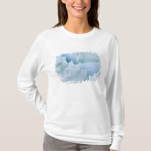 N.A., USA, Arizona, Tucson, Sonoraöknen 2 Tee
