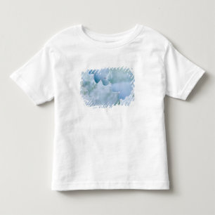 N.A., USA, Arizona, Tucson, Sonoraöknen 2 Tee Shirt