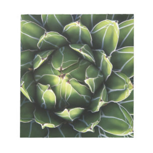 N.A., USA, Arizona, Tucson, Sonoraöknen Anteckningsblock