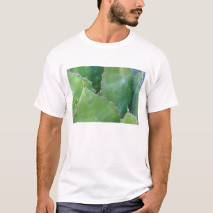 N.A., USA, Arizona, Tucson, Sonoraöknen T Shirt