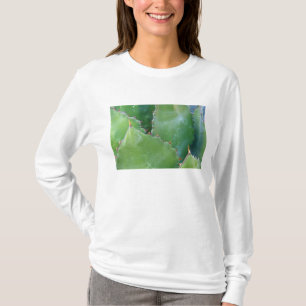 N.A., USA, Arizona, Tucson, Sonoraöknen T Shirt