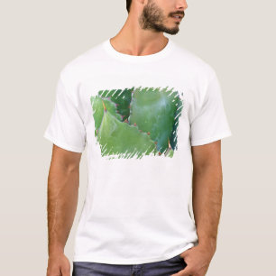 N.A., USA, Arizona, Tucson, Sonoraöknen T-shirt
