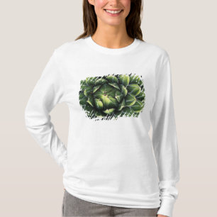 N.A., USA, Arizona, Tucson, Sonoraöknen Tee