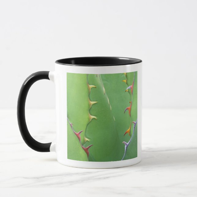 N.A., USA, AZ, Phoenix, Desert Botanical 2 Mugg (Vänster)