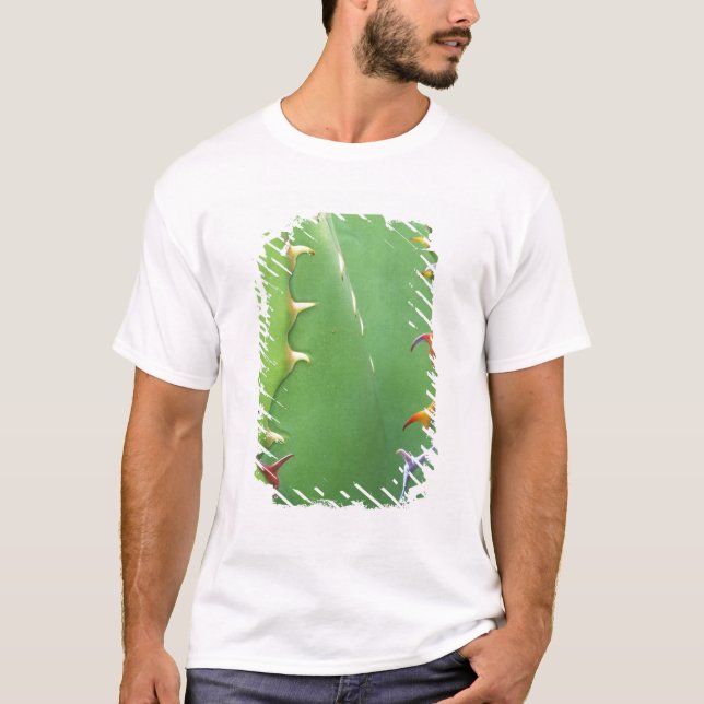 N.A., USA, AZ, Phoenix, Desert Botanical 2 Tee Shirt (Framsida)
