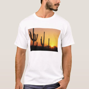 N.A., USA, AZ, Saguaro NP, Saguaro Sunset T Shirt