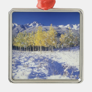 N.A., USA, Colorado, San Juan Mts Färsk snö Julgransprydnad Metall