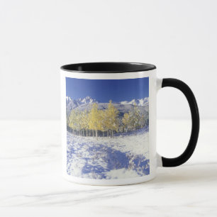 N.A., USA, Colorado, San Juan Mts Färsk snö Mugg