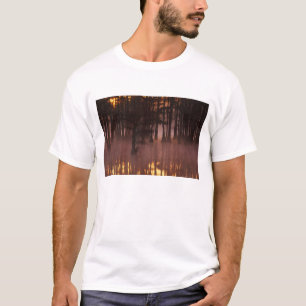 N.A., USA, Georgia, George Smith State Park. Tee Shirt