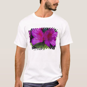 N.A. USA, Georgia, Savannah. Azalea i blomning. T-shirt