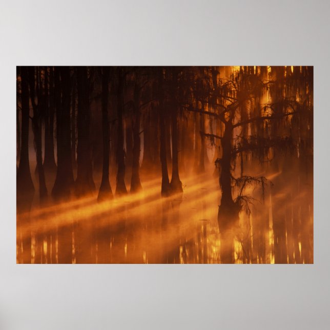 N.A., USA, Georgien, George Smith State Park. Poster (Framsidan)