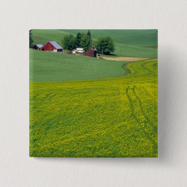 N.A., USA, Idaho, Latah County, nära Genesee. Knapp (Framsida)