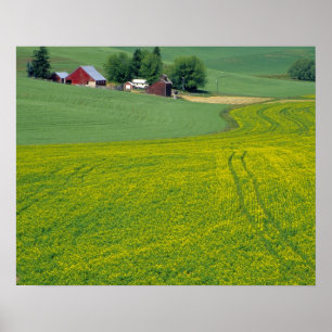 N.A., USA, Idaho, Latah County, nära Genesee. Poster