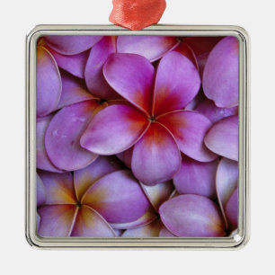 N.A., USA, Maui, Hawaii. Rosa Plumeria-blommor. Julgransprydnad Metall