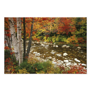 N.A., USA, New Hampshire, White Mountains, Fototryck