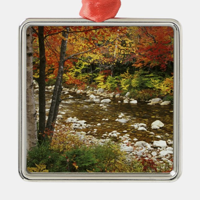 N.A., USA, New Hampshire, White Mountains Julgransprydnad Metall (Framsidan)