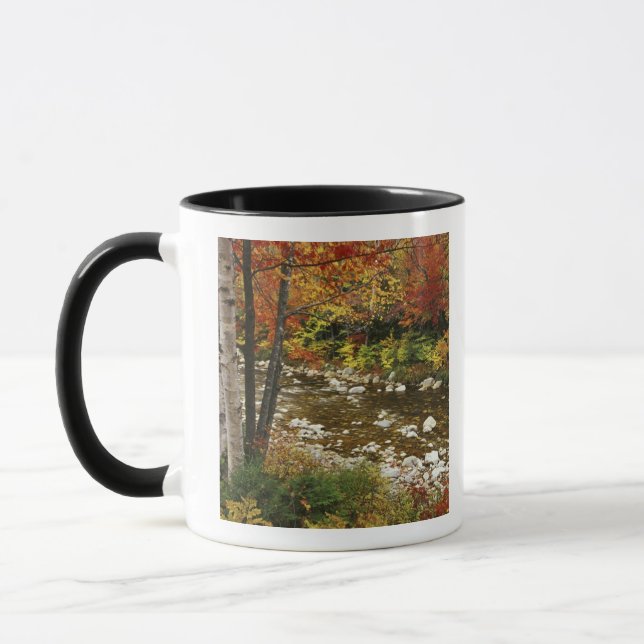 N.A., USA, New Hampshire, White Mountains Mugg (Vänster)