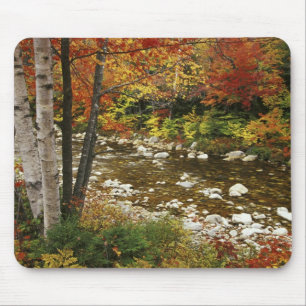 N.A., USA, New Hampshire, White Mountains, Musmatta