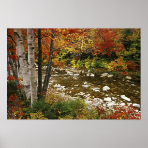 N.A., USA, New Hampshire, White Mountains Poster