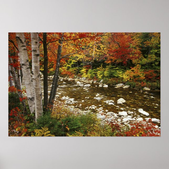 N.A., USA, New Hampshire, White Mountains Poster (Framsidan)