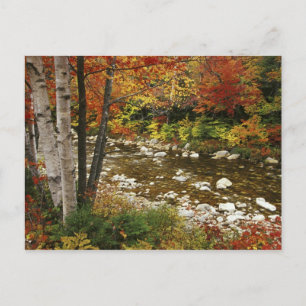 N.A., USA, New Hampshire, White Mountains, Vykort