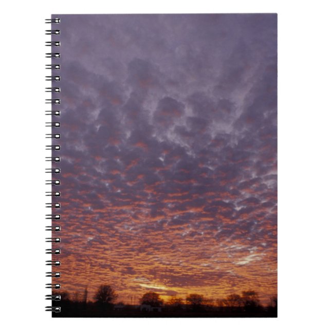 N.A., USA, New mexico, nära Las Cruces Anteckningsbok (Framsidan)